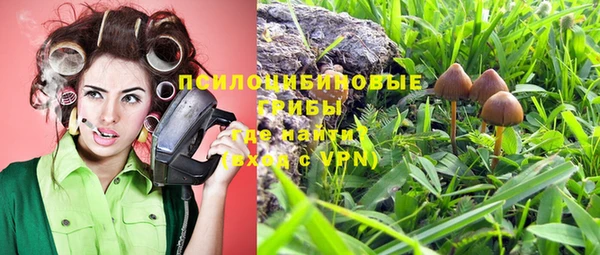 круглые Магас