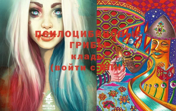 герыч Майский