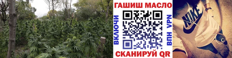 KRAKEN онион  Благодарный  Дистиллят ТГК THC oil 