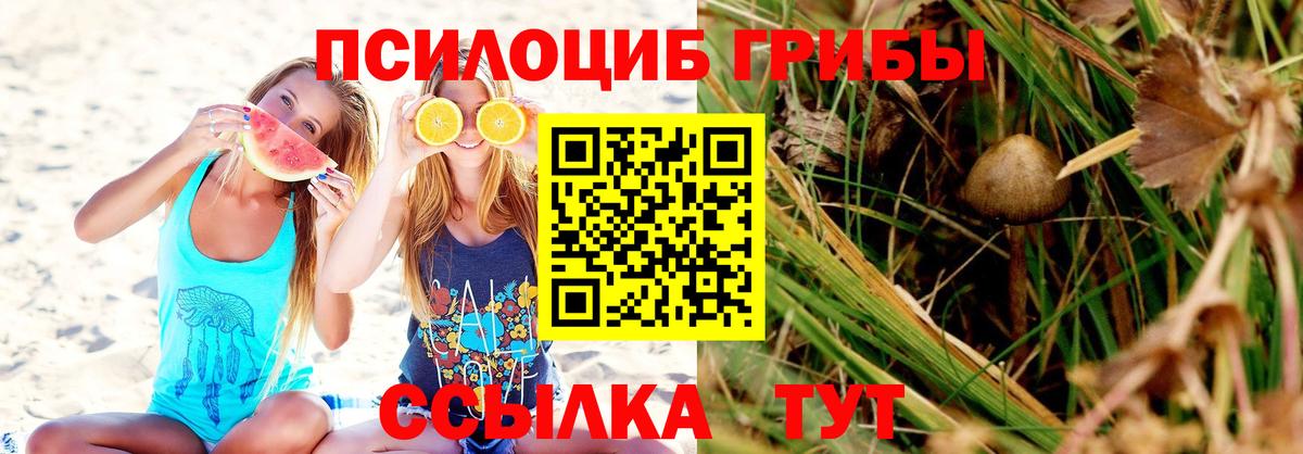 Псилоцибиновые грибы Cubensis  Вход с VPN  сколько стоит  Благодарный 