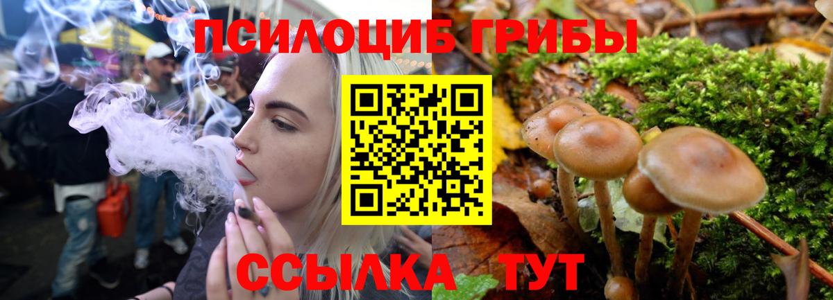 Псилоцибиновые грибы Magic Shrooms  хочу наркоту  Благодарный  Галлюциногенные грибы мицелий 